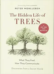 Cover of The Hidden Life of Trees